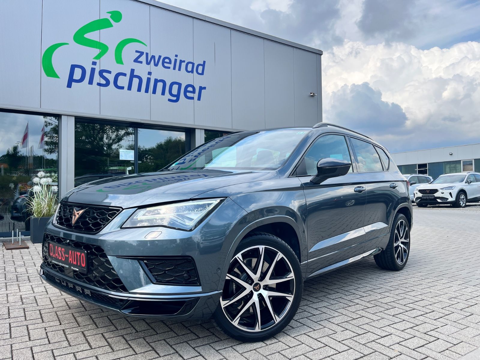 CUPRA Ateca Basis 4Drive/Kamera/Abstandtemp/LED/AHK