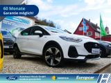 Ford Fiesta Active 1.0 EcoBoost M-Hybrid LED Klimaaut - Ford Fiesta in Dresden