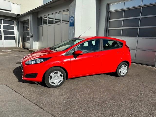 Ford Fiesta Trend, Klima, Allwetter, MOTOR NEU