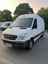 Mercedes-Benz Mercedes Sprinter 313CDI lang Maxi - Mercedes-Benz Sprinter: 313 Cdi Maxi