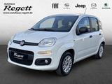 Fiat Panda Easy*DAB*PDC*Berganfahrass*Klima*Tagfahrli - gebrauchte Fiat Panda aus dem Jahr 2017