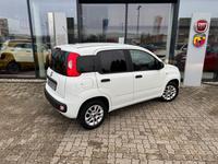 Fiat Panda 1.2 Easy Sondermodell More - Viele Extras