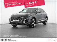 Audi SQ5 - Vorschau Bild 1
