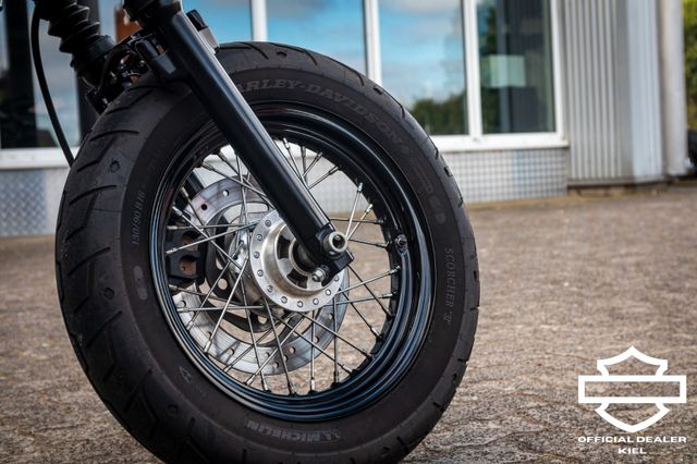 Fahrzeugabbildung Harley-Davidson XL1200X SPORTSTER FORTY-EIGHT - LED-BLINKER