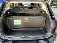 Ford Focus - Vorschau Bild 8