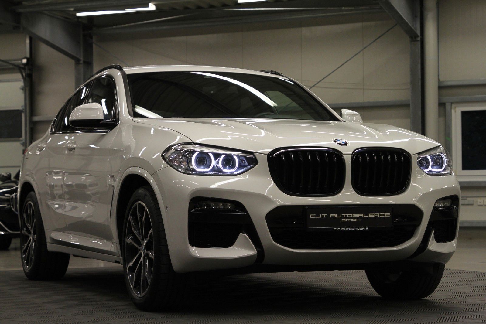BMW X4 xDrive 20 d M Sport RFK Memory StandHZG 1.HAN foto 9