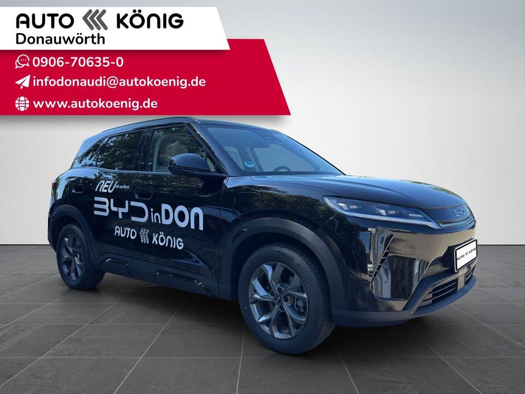 Image of BYD DOLPHIN SURF