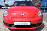 Volkswagen Beetle Lim. EDITION TEMPOMAT Panorama-Dach - Volkswagen Beetle in Bonn