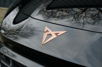 Cupra Terramar - Vorschau Bild 15