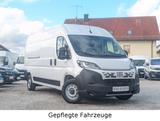 Fiat DUCATO NEW MODEL L3H2 Kasten Kamera, Navi, Apple - Fiat Gebrauchtwagen in Augsburg