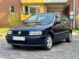 Volkswagen Polo 1.4 XXL 5-Türer Klima, 81.500km Top Zustand - Volkswagen Polo: Xxl
