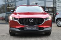 Mazda CX-30 - Vorschau Bild 7