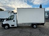 Fiat Ducato Koffer mit Ladebordwand - Holztransporter