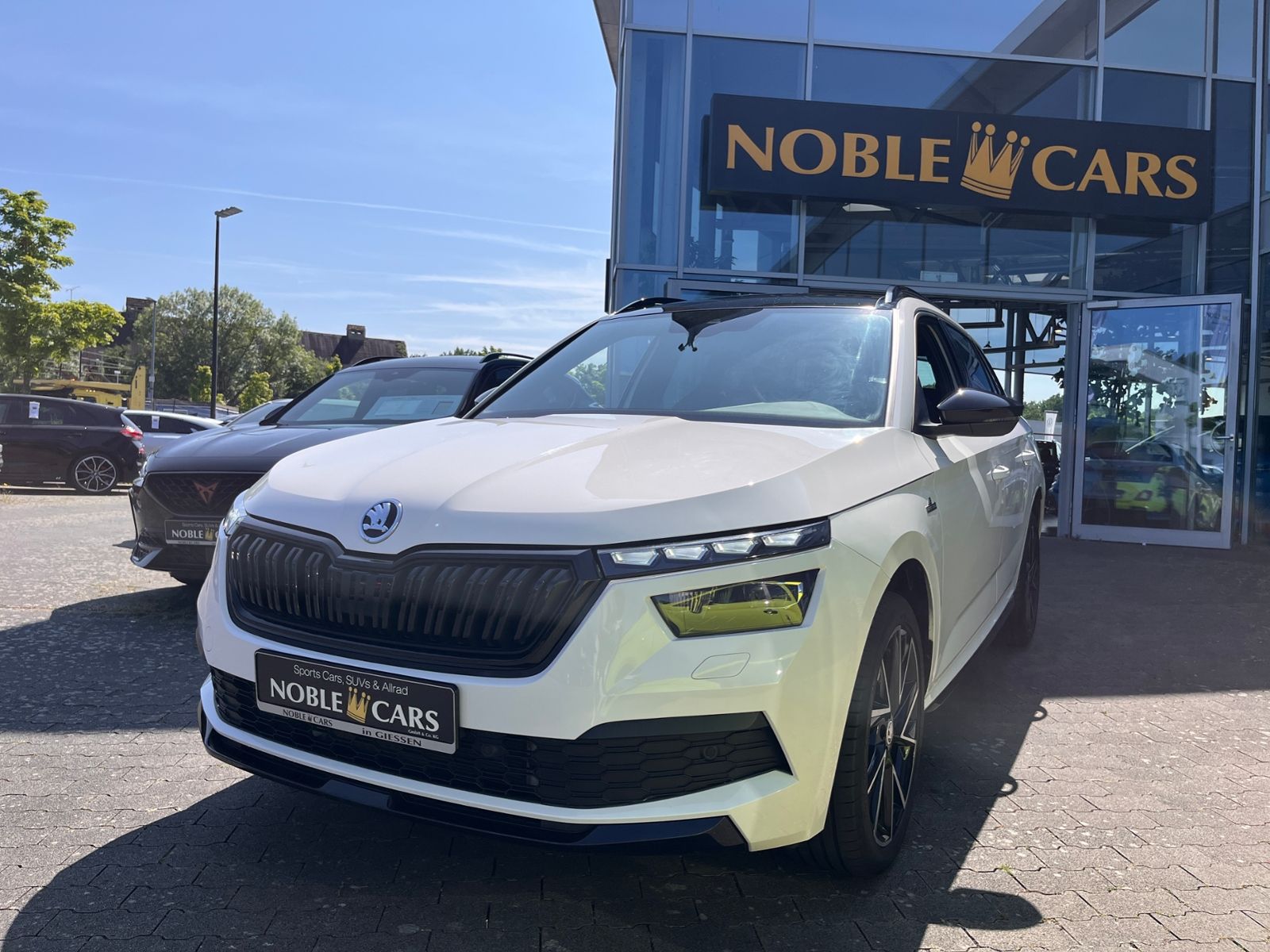 Fahrzeugabbildung SKODA Kamiq Monte Carlo PANO LED NAVI ALU