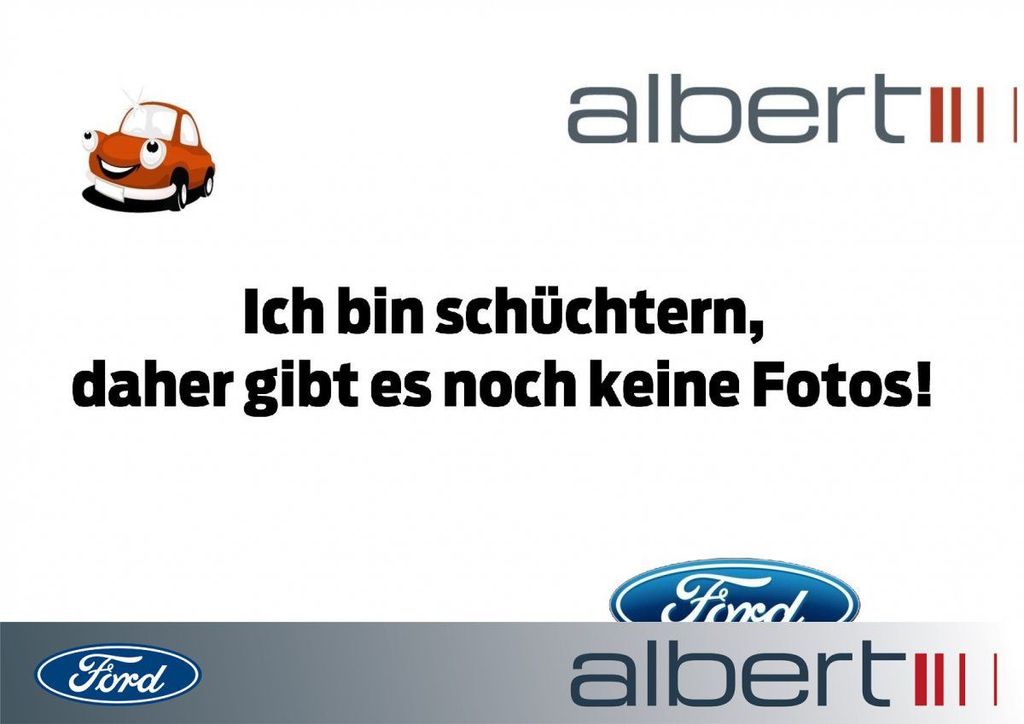 Ford Tourneo