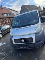 Fiat Ducato MwSt. ausweisbar (19%) - Fiat Ducato 7-Sitzer