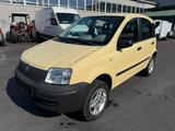 Fiat Panda 1.2 8V Climbing 4X4 - Fiat Panda: 1.4