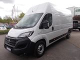 Fiat Ducato Großraumkasten MAXI L5H3 2.3 140PS - Fiat Ducato: L1h2