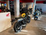 Honda CL 500 2025 Dusk Yellow *Tageszulassung 08-25* - HONDA MOTOCROSS DIRT BIKE