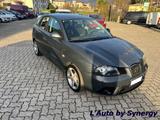 Seat SEAT Ibiza 1.4 TDI 80CV 5p. Stylance - Seat Ibiza aus 2007: TDI