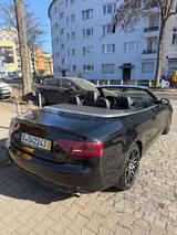 Audi A5 3.0 TDI*CAPRIO*R.KAM**APPLE*NAVI*S.TRONIC - Caprio gebraucht