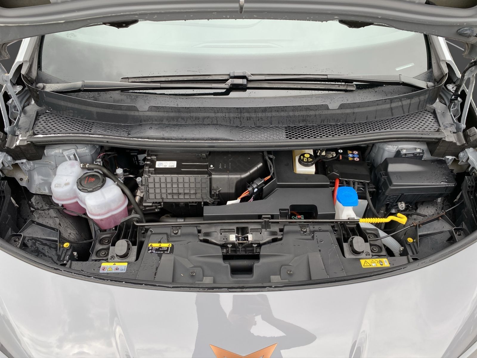 Cupra Born - Bild 22
