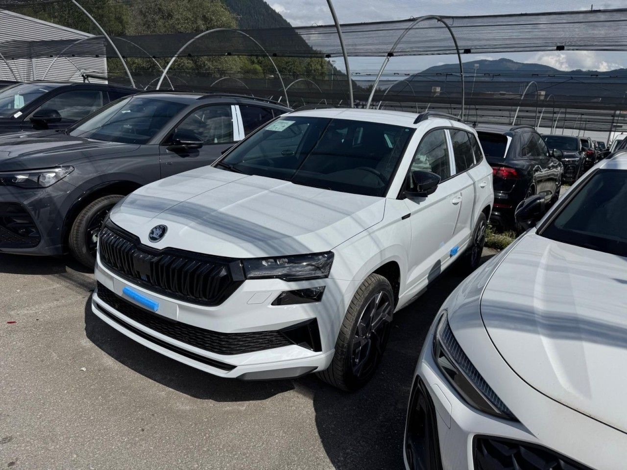 Fahrzeugabbildung SKODA Karoq Sportline TSI DSG 4x4 - September25