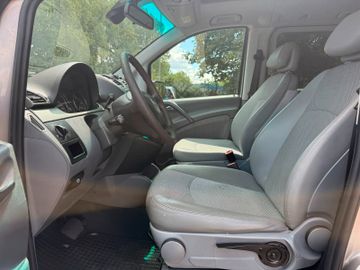 Mercedes Viano - 10