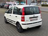 Fiat Panda 1.2 8V MyLive - gebrauchte Fiat Panda aus dem Jahr 2011