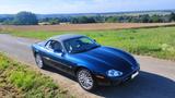 Jaguar XK8 Convertible US-Modell ~31.700 M... - Jaguar XK8 in Köln