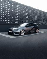 Seat Leon 2.0 TSI Start&Stop CUPRA 290 DSG CUPRA 290 - Seat Leon von privat