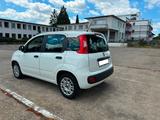 Fiat Panda 1.2/ Serivce Neu/ TÜV 10/26/Garantie - Fiat Panda: 2t