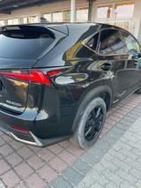 Lexus NX 300 300h E-FOUR Executive Line Executive Line - Lexus NX 300 Gebrauchtwagen