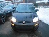 Fiat Panda Pandina Pop - Fiat Panda POP mit Hybrid-Antrieb (Benzin/Elektro)