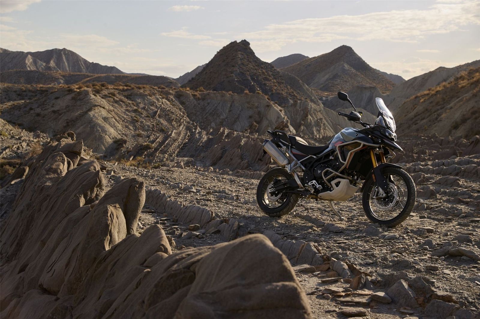 Fahrzeugabbildung Triumph Tiger 900 Desert Edition
