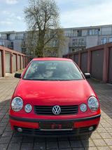 Volkswagen VW Polo 1.2 9N | Fahrbereit | Tüv - Volkswagen Polo aus 2001: 9n