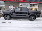 Ford Ranger Wildtrak e-4WD DOKA 360 AHK B&O E-ROL - Ford Ranger: Pickup