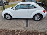 Volkswagen Beetle 1.2 TSI Design Design - VW Beetle Gebrauchtwagen in Bremen