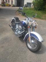 Harley-Davidson Softail Deluxe - Offers