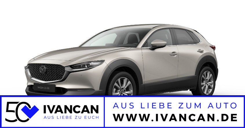 Fahrzeugabbildung Mazda CX-30 2.5i 140PS Exclusive-Line