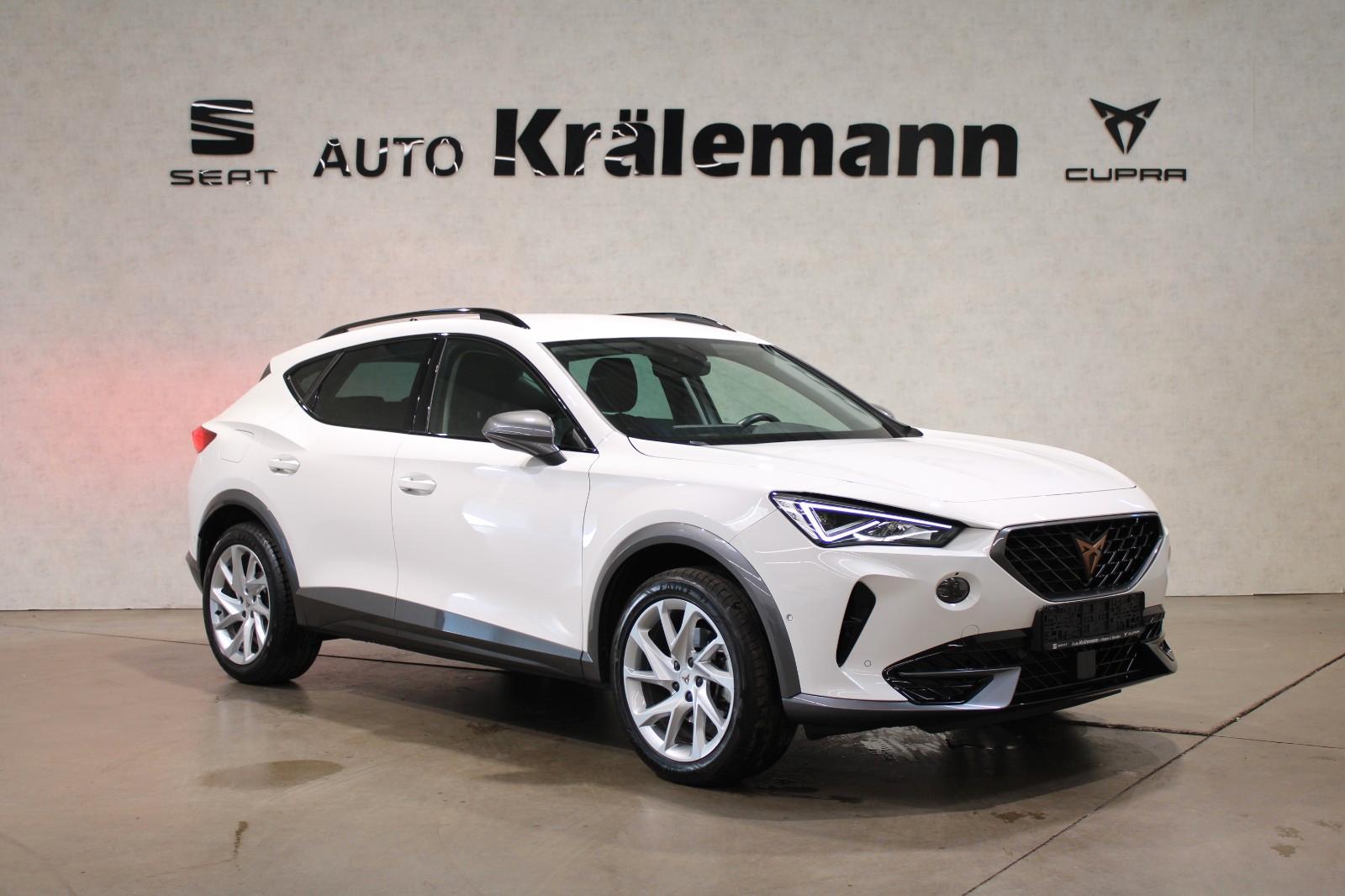Cupra Formentor 1.5 TSI*AHK*Kamera*Navi*