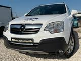 Opel Antara Edition Plus 4x4, AHK, SHZ - weiße Opel Antara