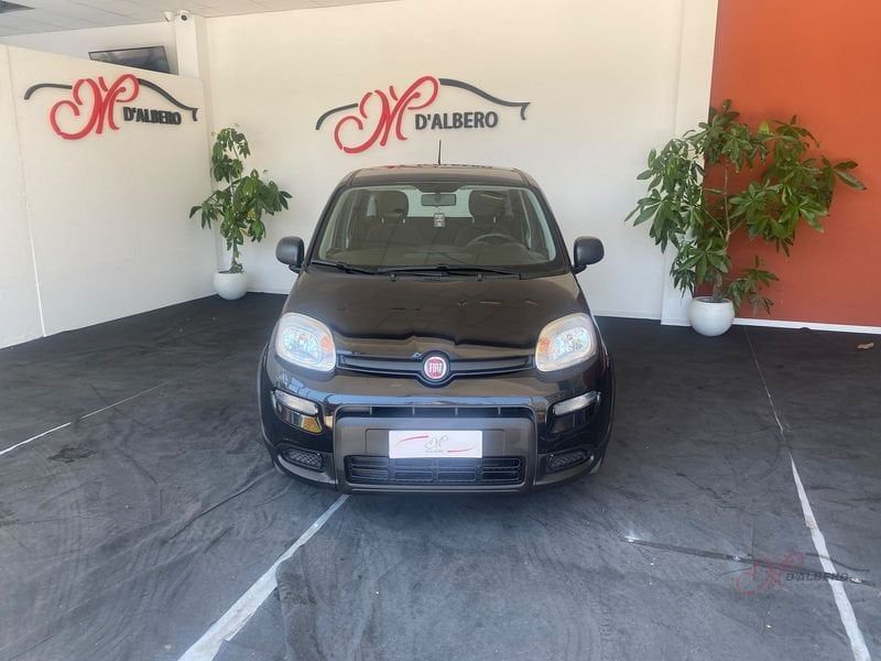 Image of Fiat Panda