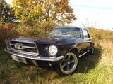 Ford Mustang Coupe, eins der Allerbesten, wie neu ! - Ford Mustang aus 1967: Coupé