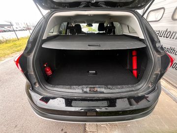 Ford Focus - 9