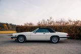 Jaguar XJS V12 Cabrio, wunderschönes Exemplar! - Jaguar: V12