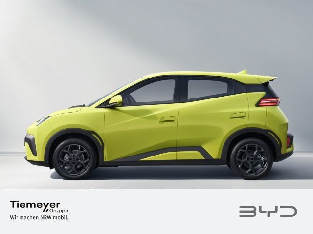 BYD DOLPHIN SURF
