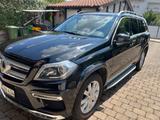 Mercedes-Benz GL350 - Mercedes 350 mit Anhängerkupplung