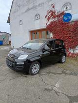 Fiat New Panda 1.2 8V EASY - schwarze Fiat New Panda