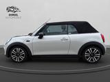 MINI COOPER Cabrio Cooper/1Hand/Kamera/Sitzheizung - MINI MINI: Leder